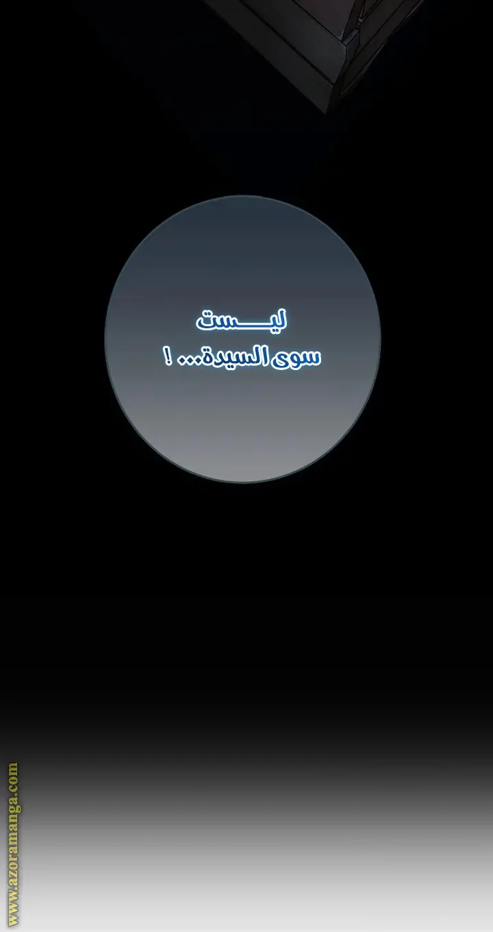 الصفحة 29