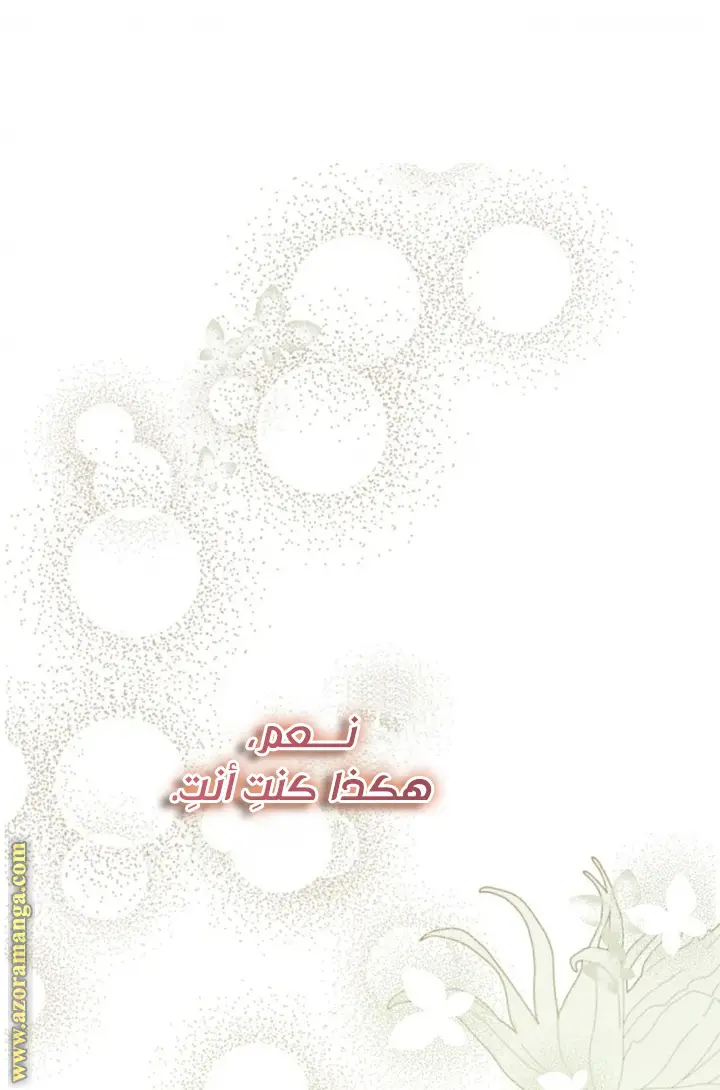 الصفحة 35