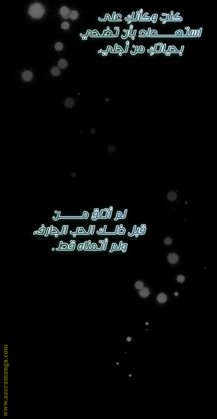 الصفحة 43