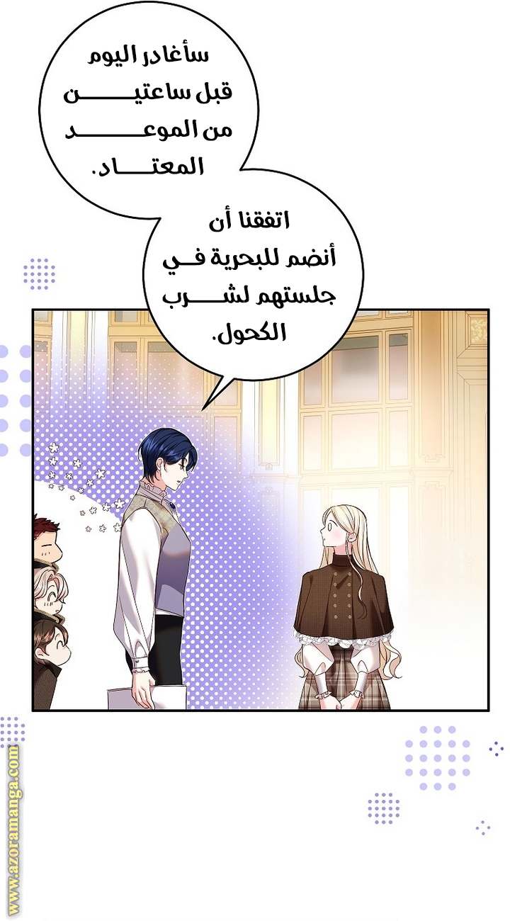 الصفحة 17