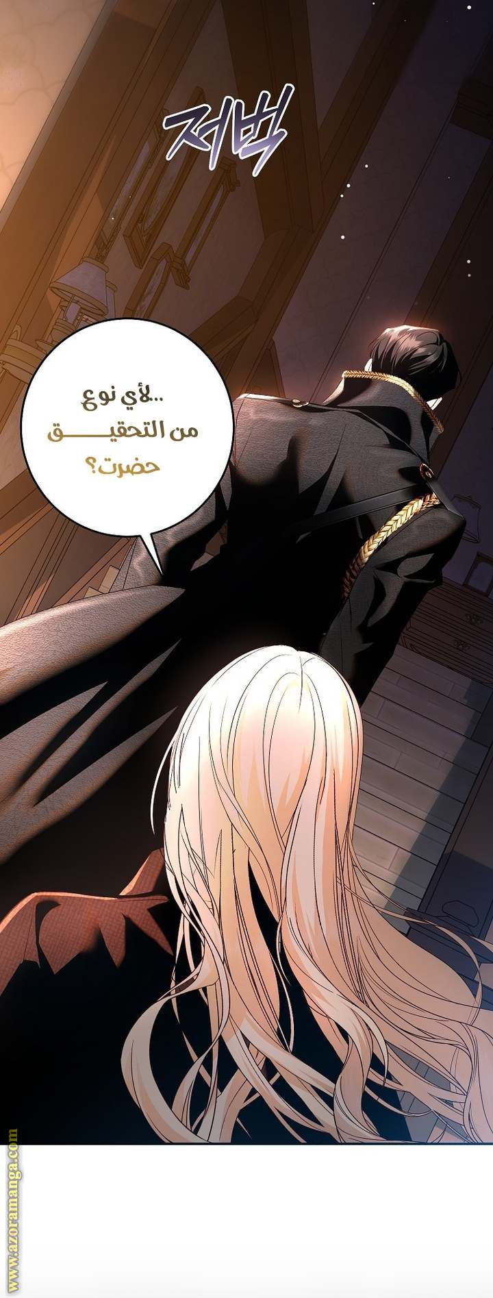 الصفحة 27