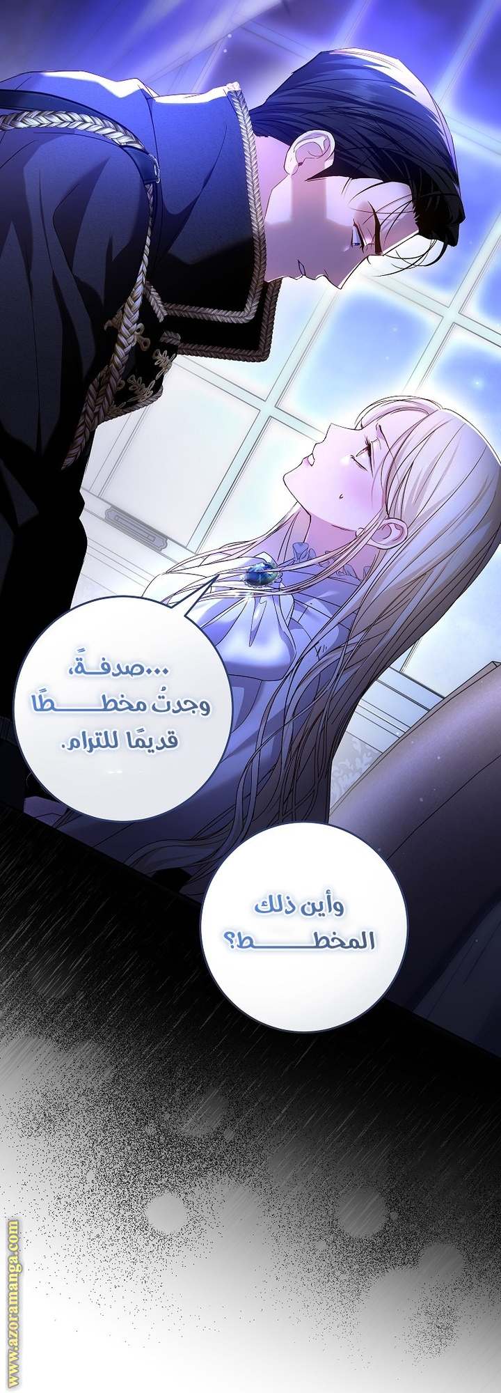 الصفحة 43