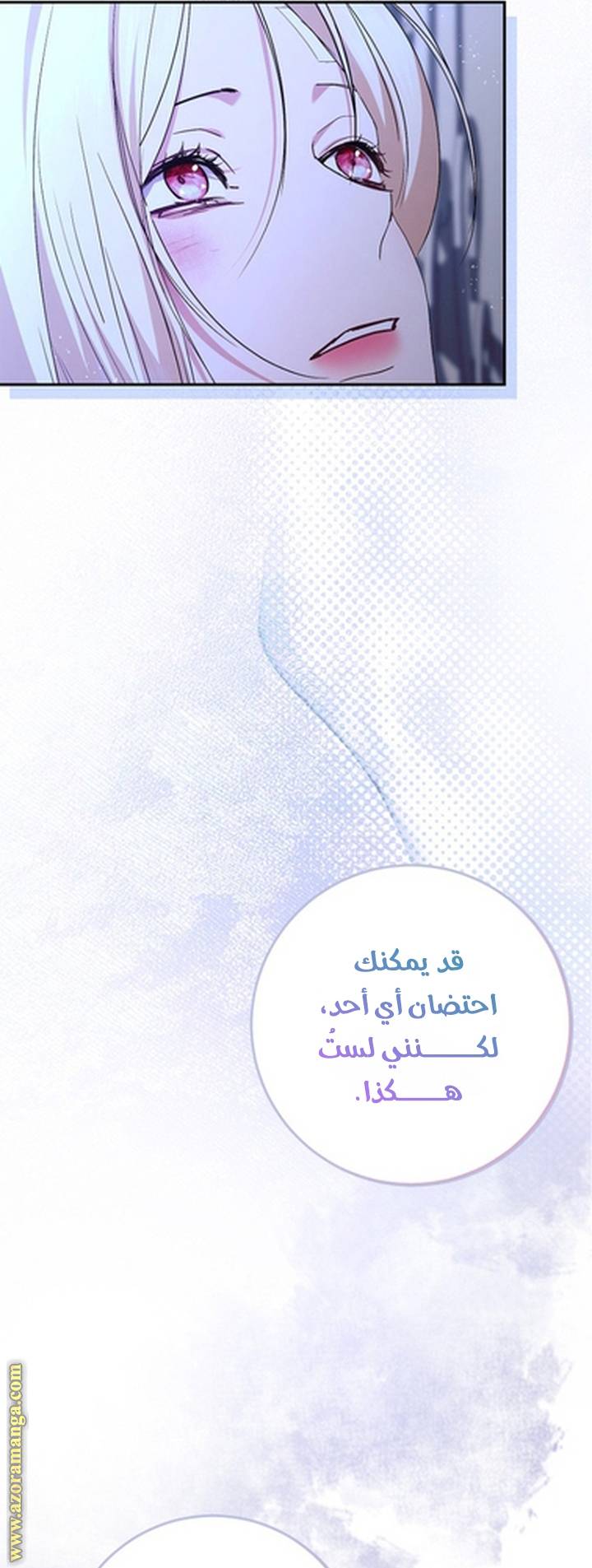 الصفحة 28