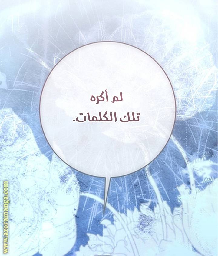 الصفحة 31