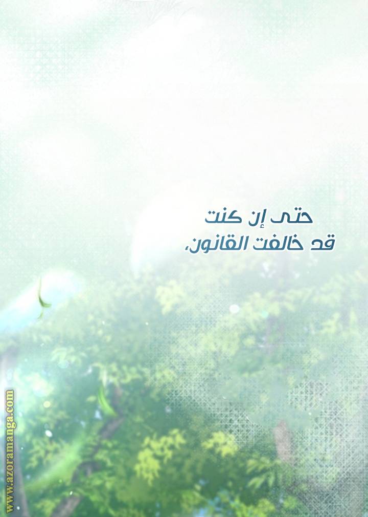 الصفحة 21