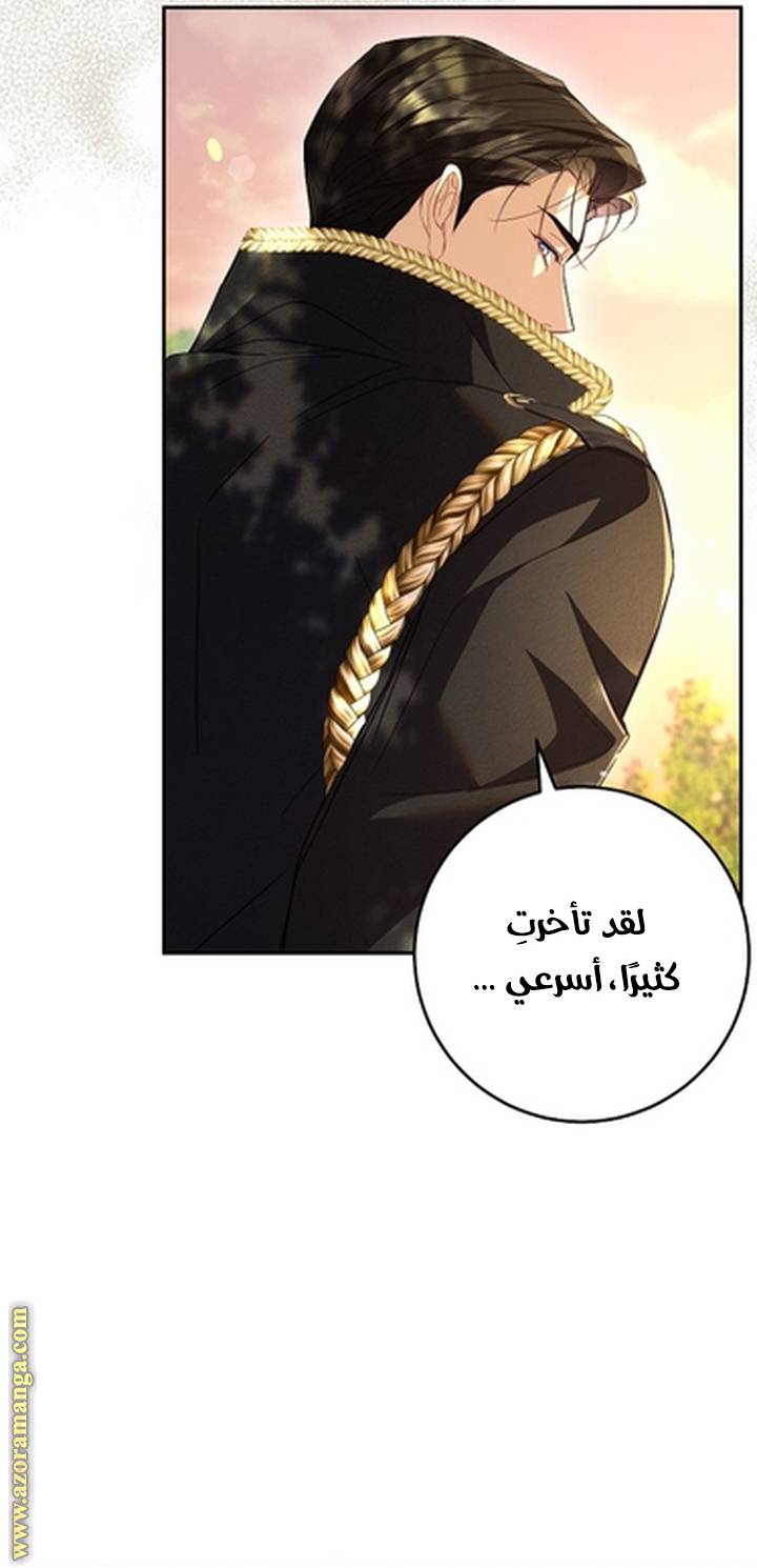 الصفحة 29