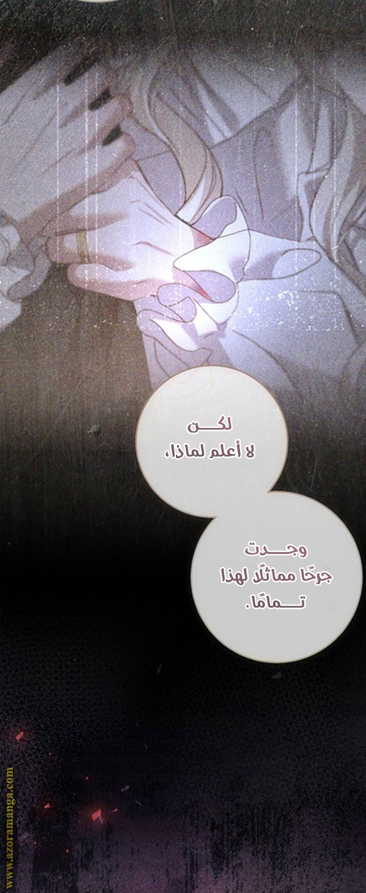 الصفحة 43