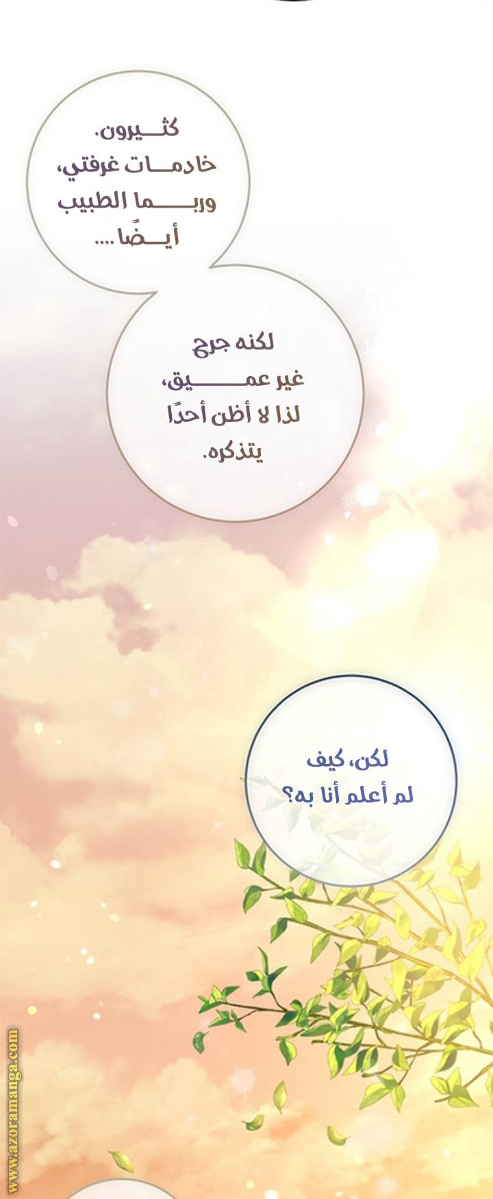 الصفحة 46