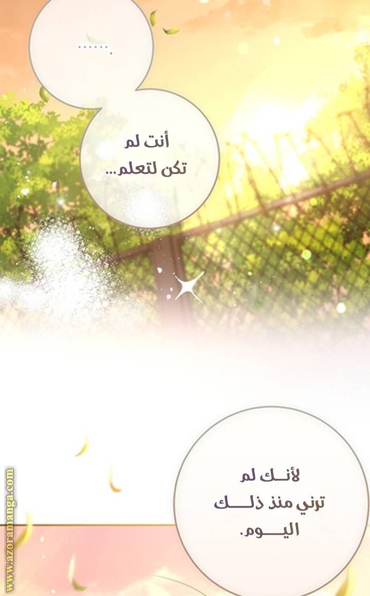 الصفحة 47