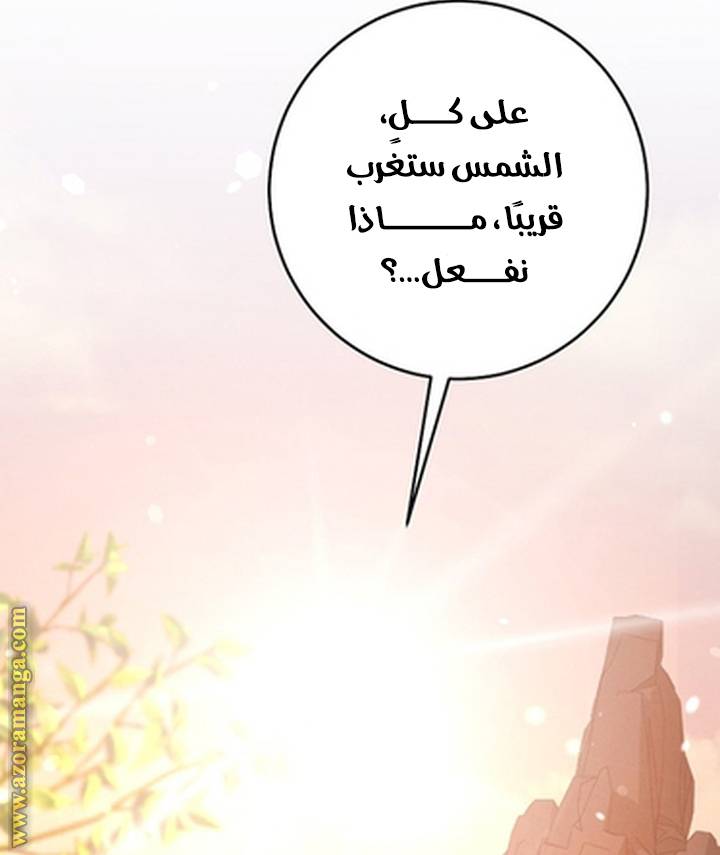 الصفحة 53
