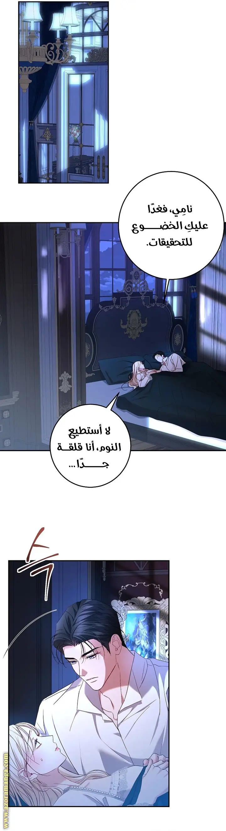 الصفحة 27