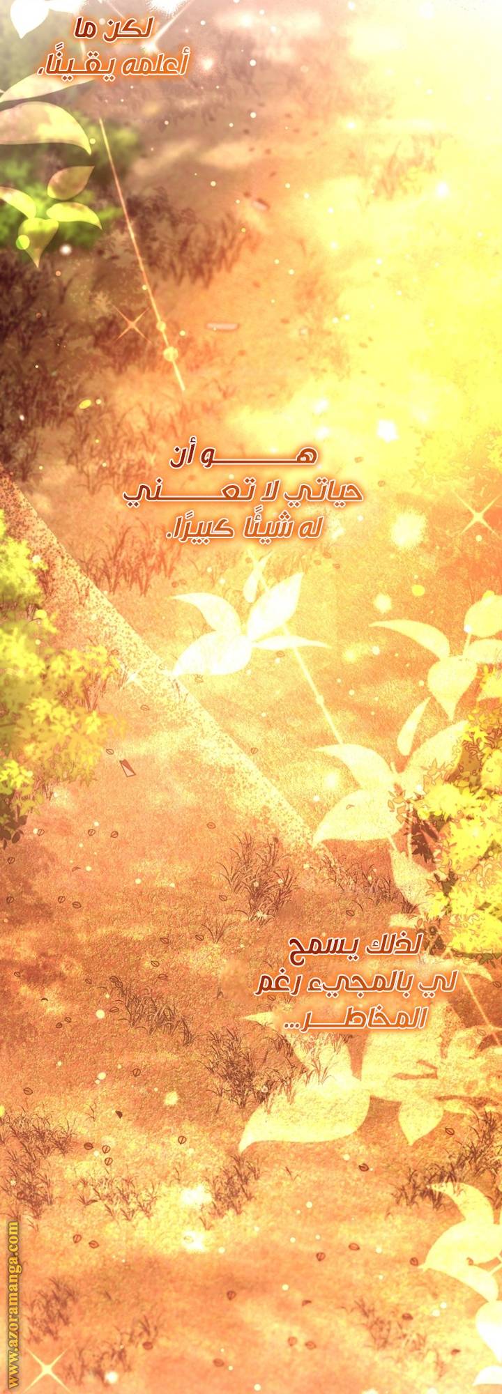 الصفحة 24