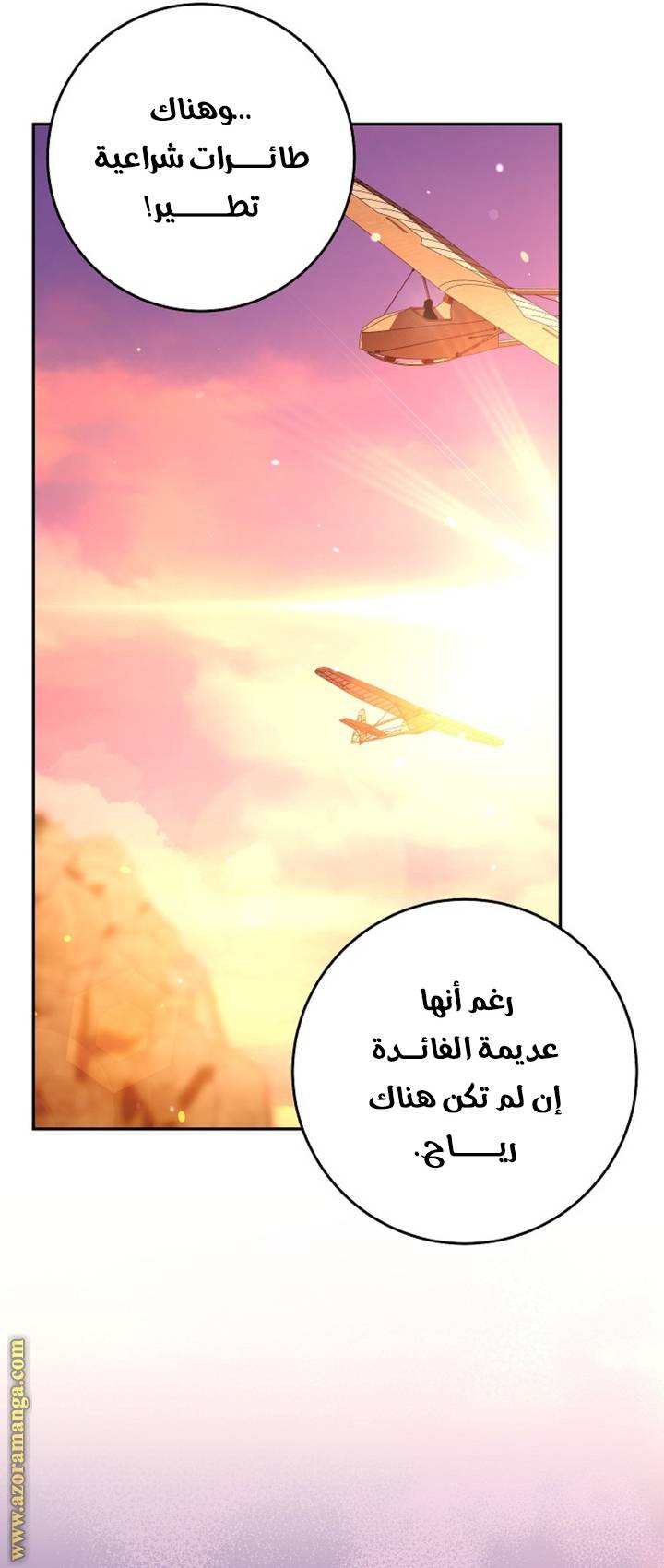 الصفحة 43