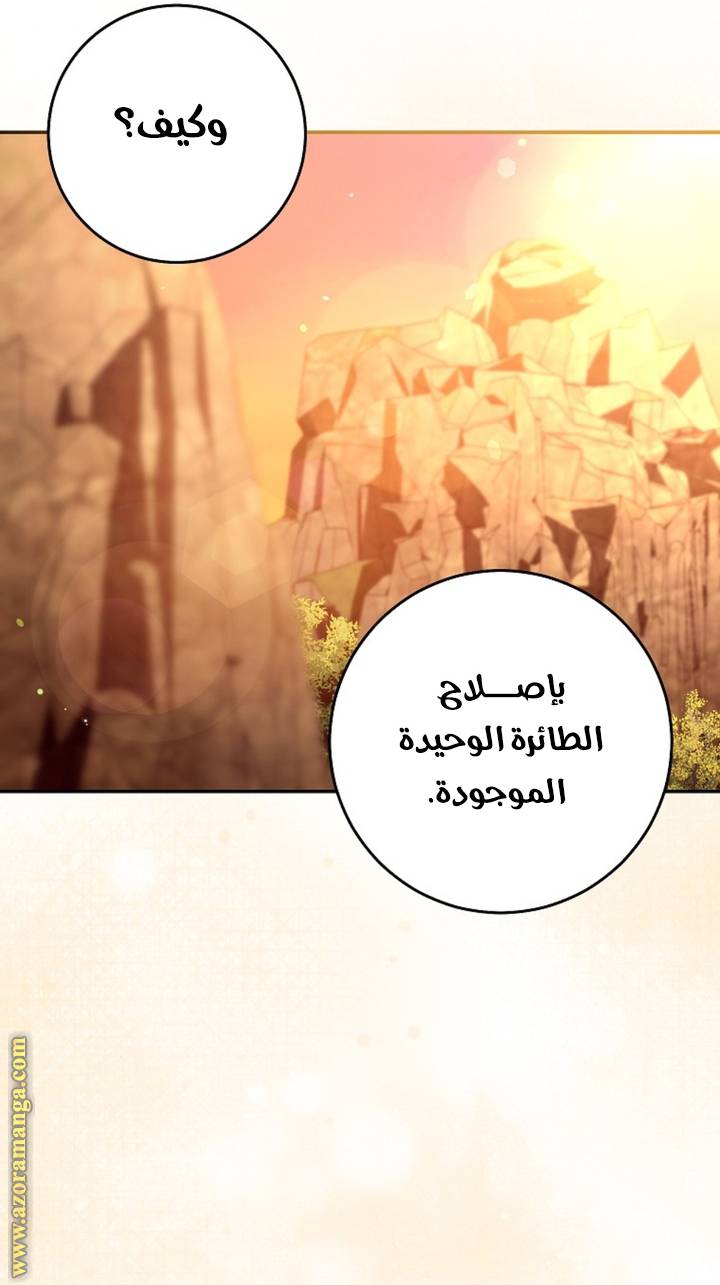 الصفحة 48