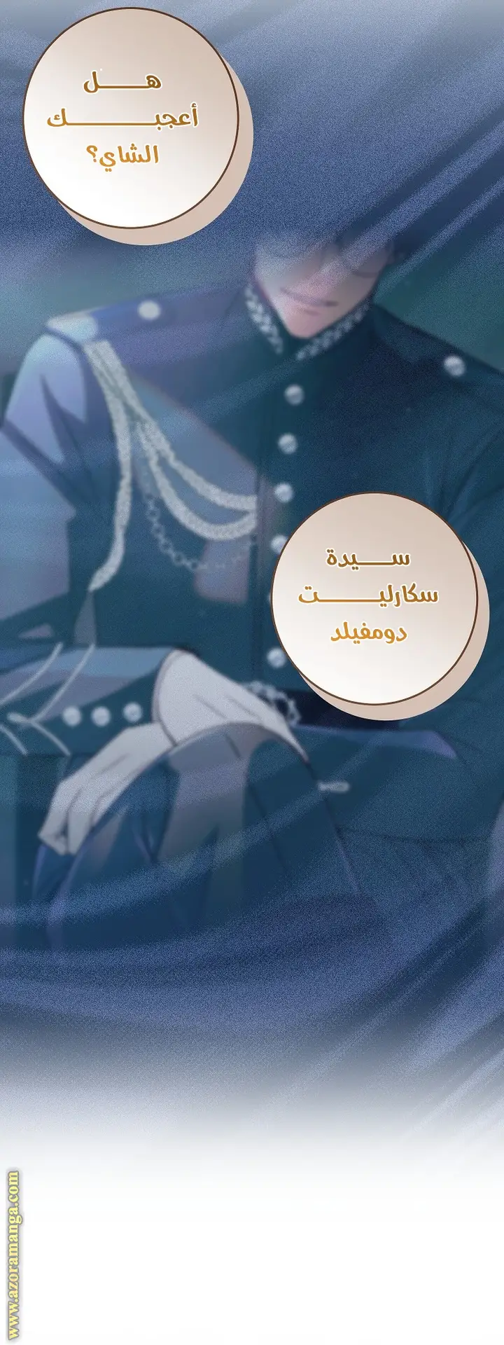 الصفحة 21