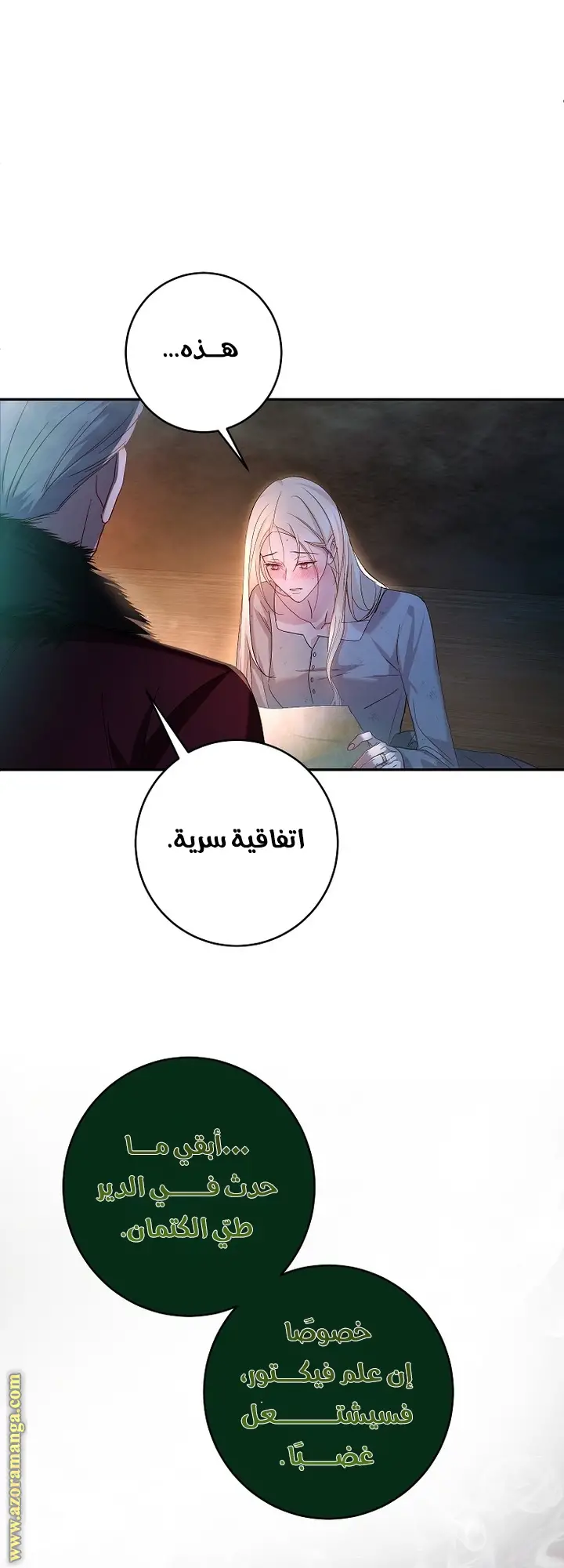 الصفحة 13