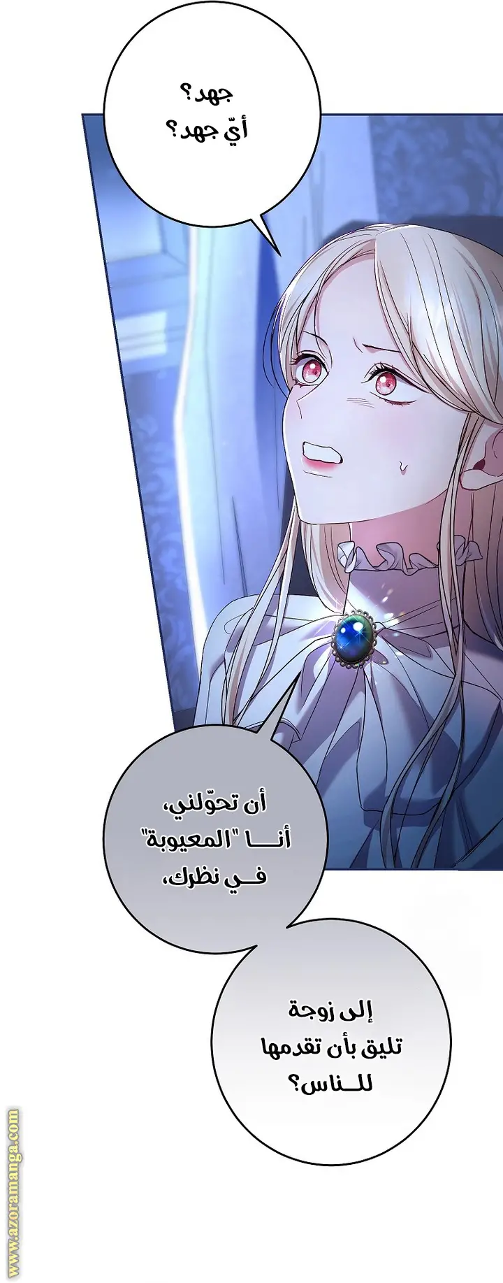 الصفحة 13