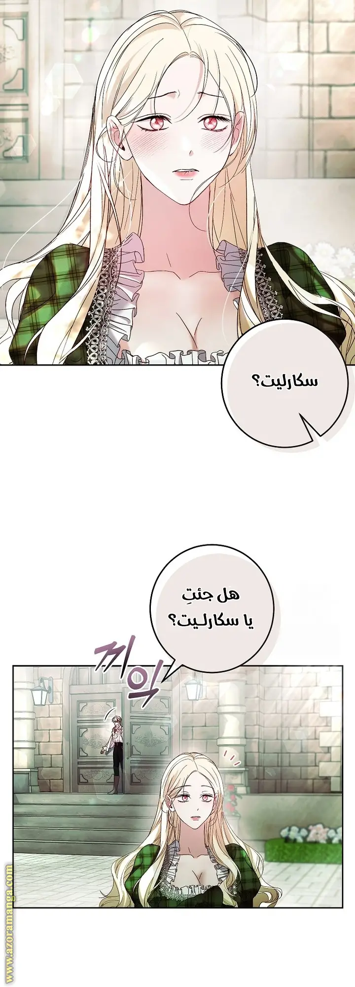 الصفحة 25