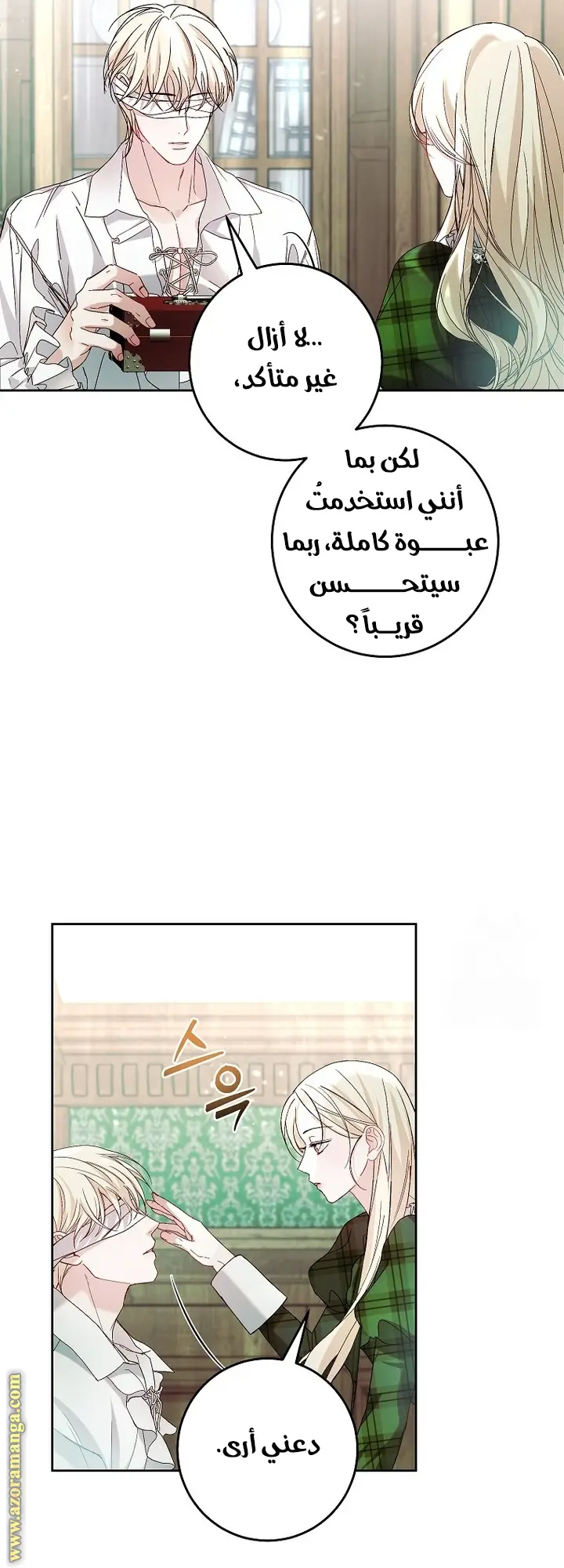 الصفحة 29
