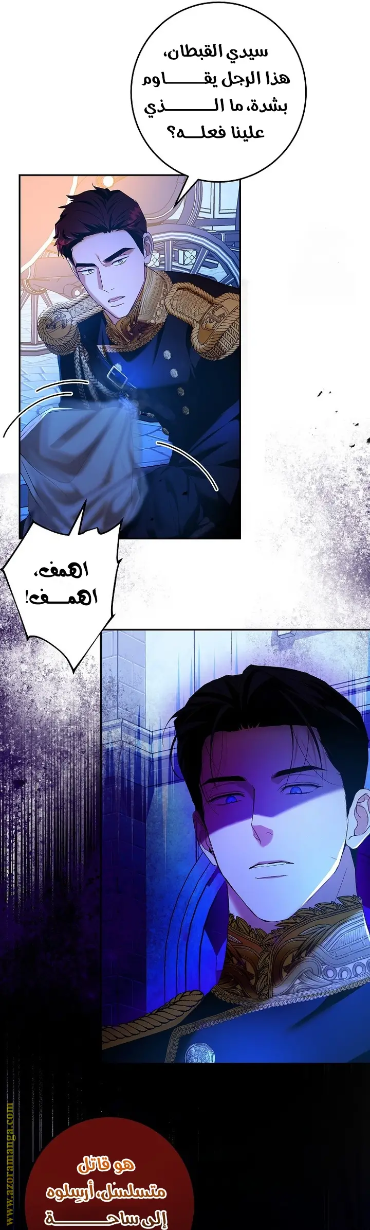 الصفحة 29