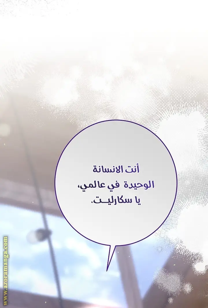 الصفحة 21