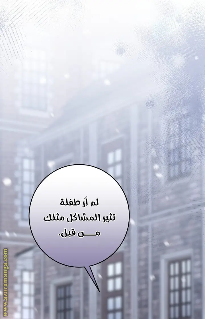 الصفحة 29