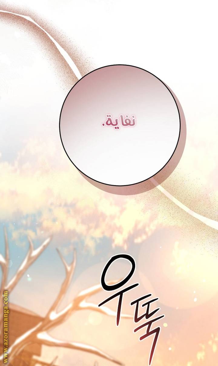 الصفحة 38
