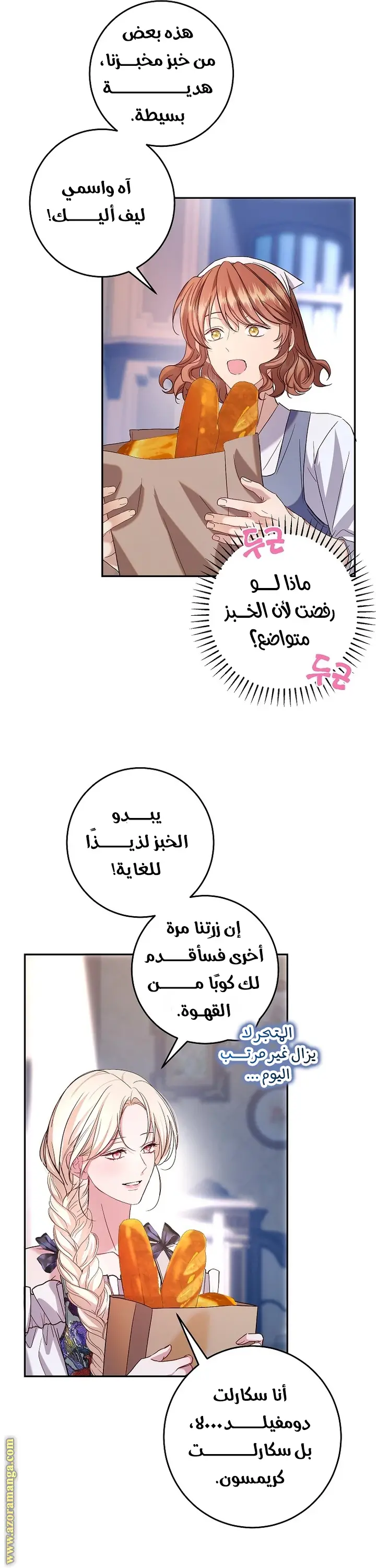 الصفحة 24