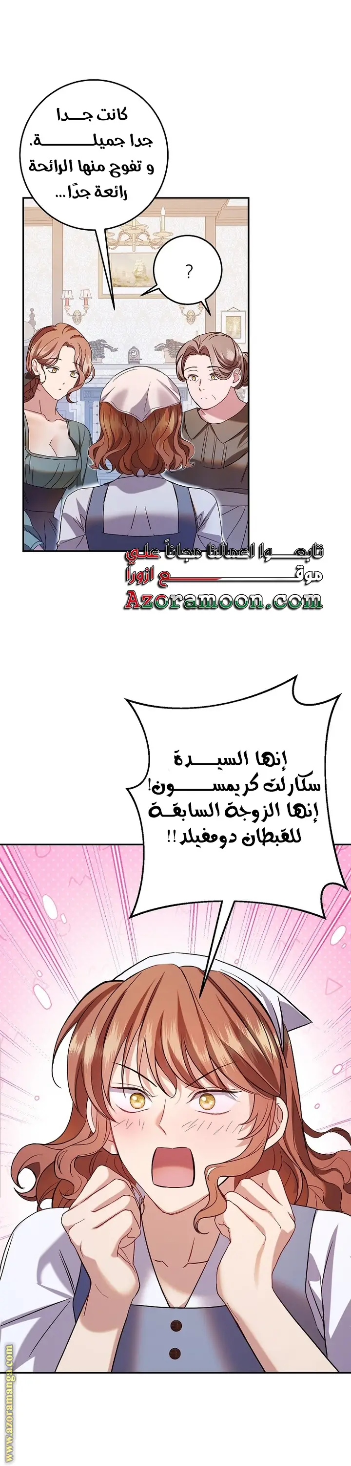 الصفحة 29