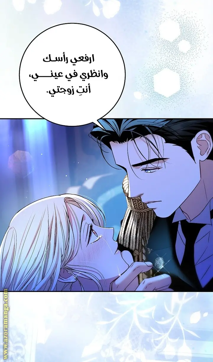 الصفحة 41