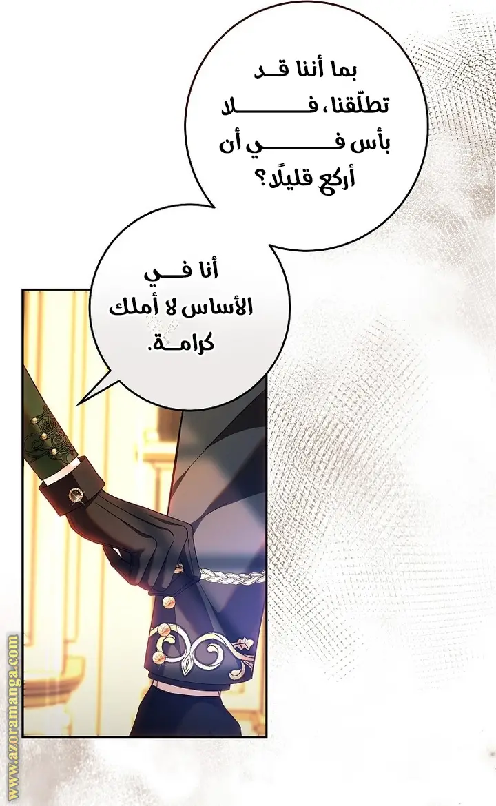 الصفحة 47