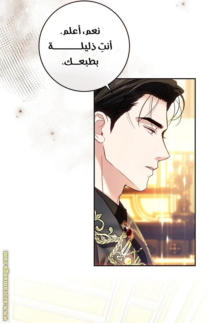 الصفحة 48