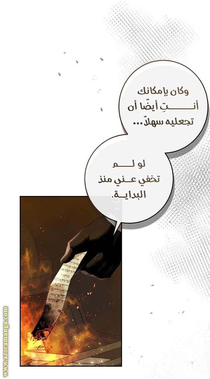 الصفحة 25