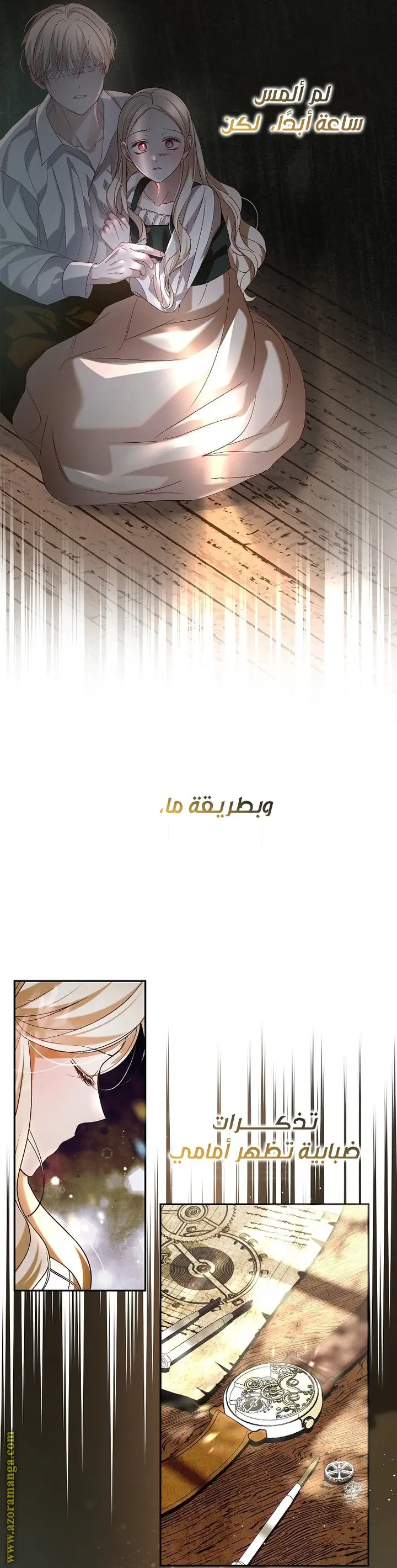 الصفحة 13