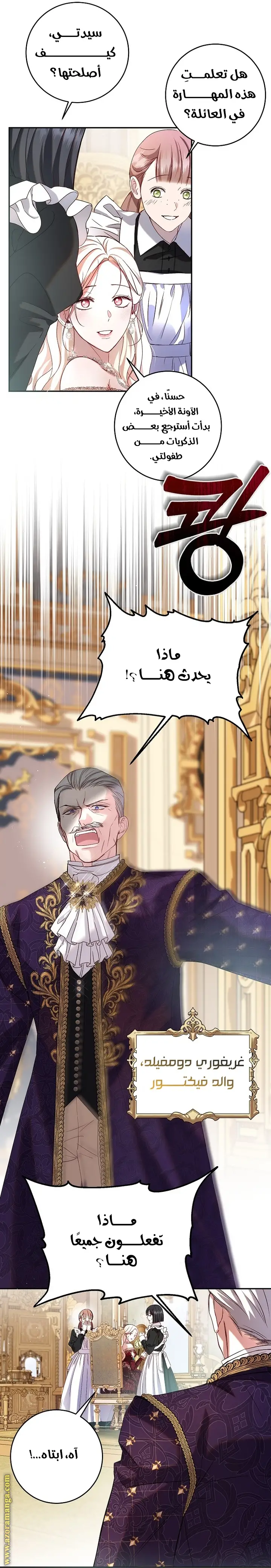 الصفحة 17