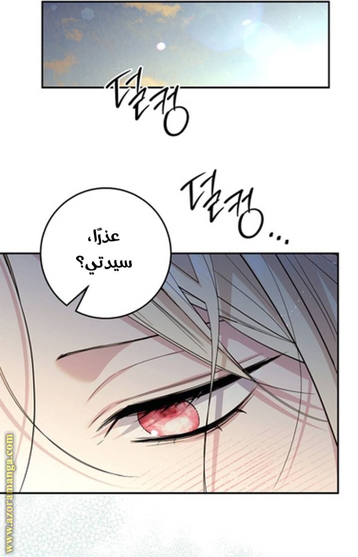 الصفحة 48