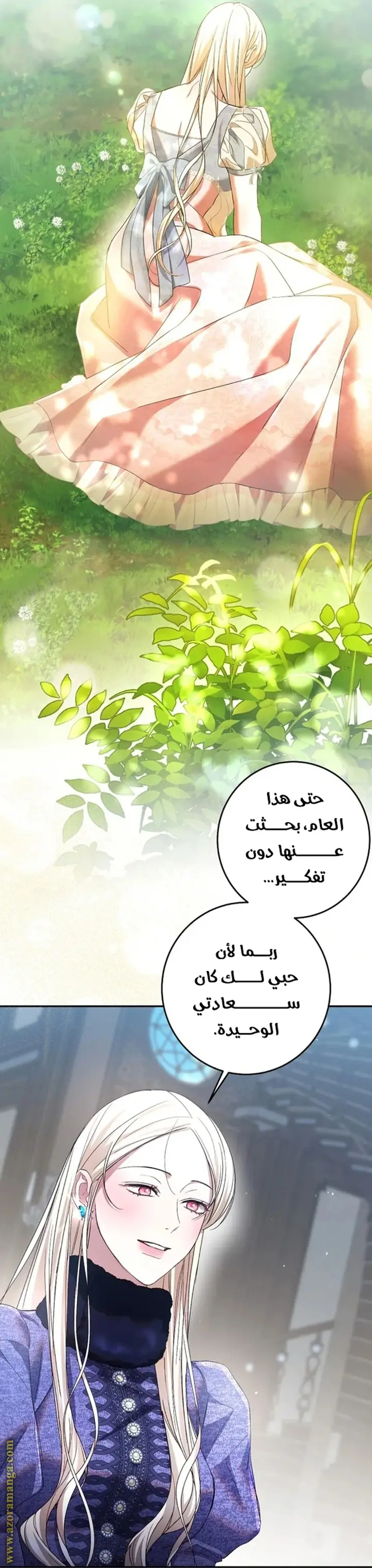 الصفحة 27