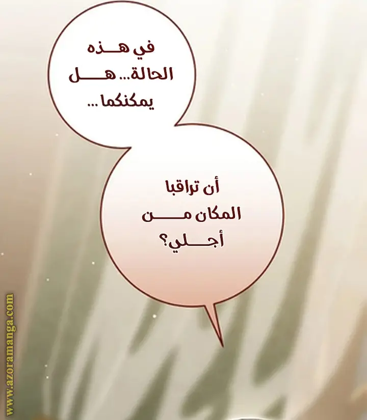 الصفحة 41