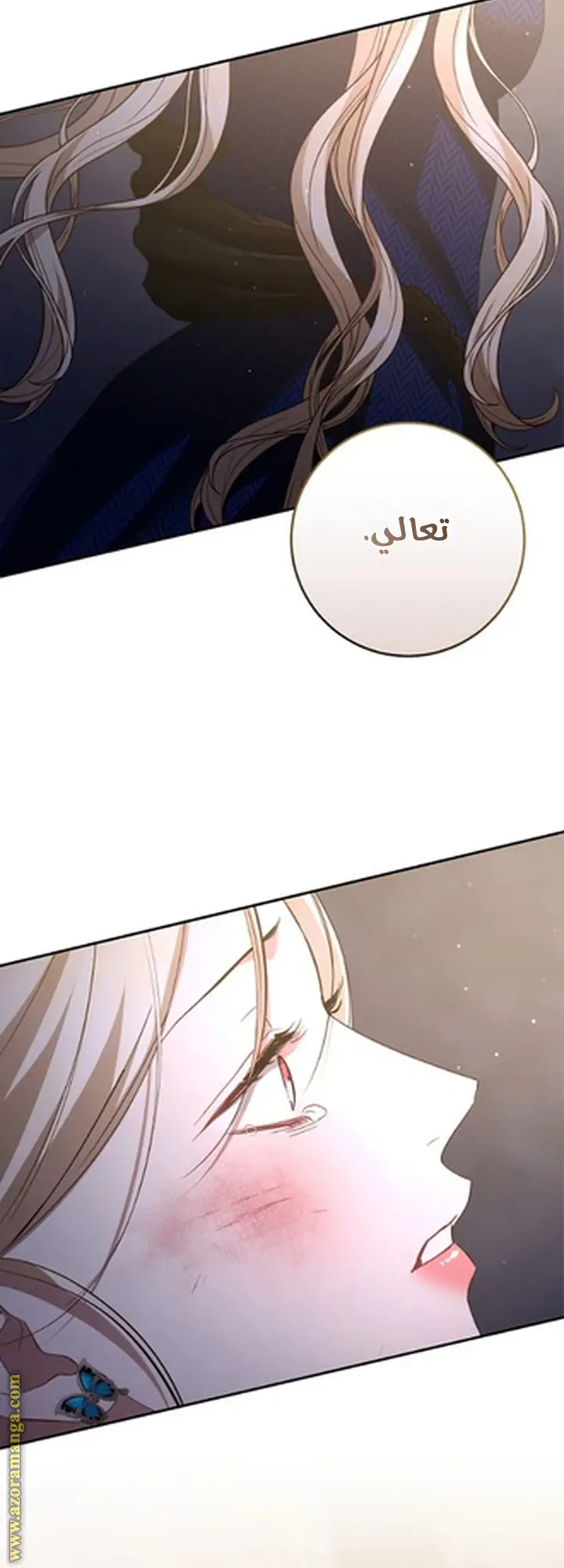 الصفحة 79