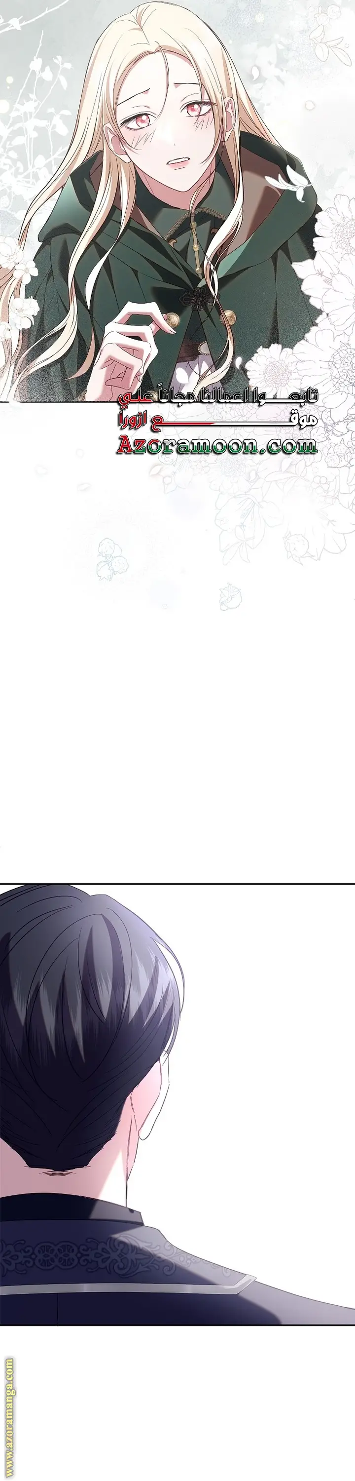 الصفحة 27