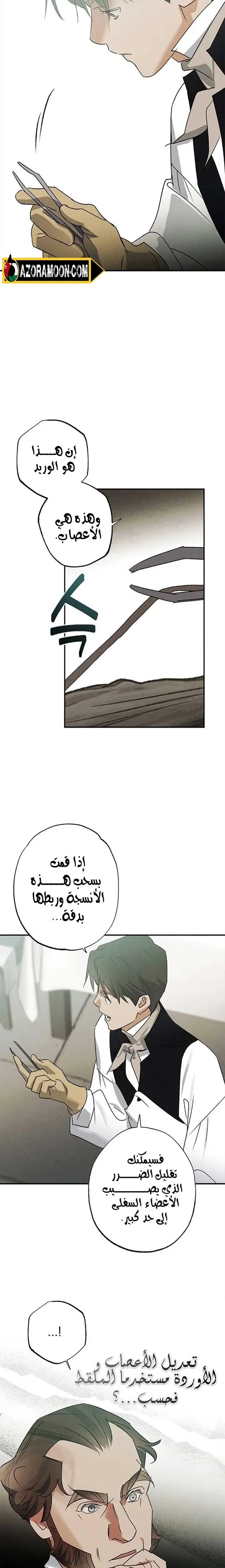 الصفحة 13