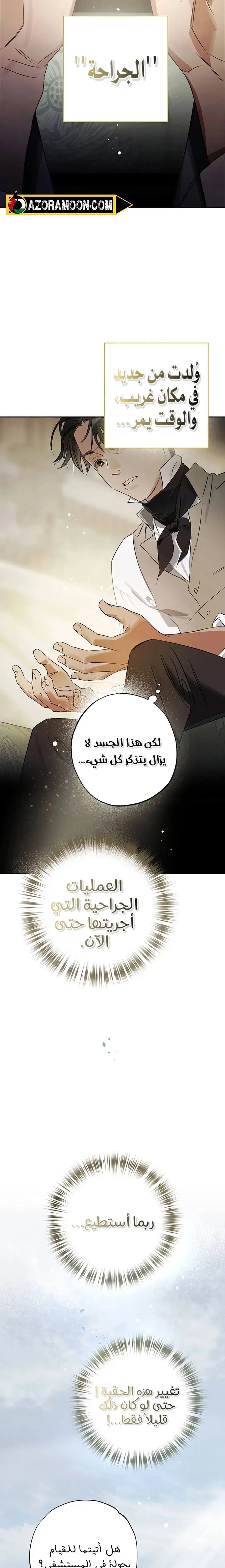 الصفحة 17