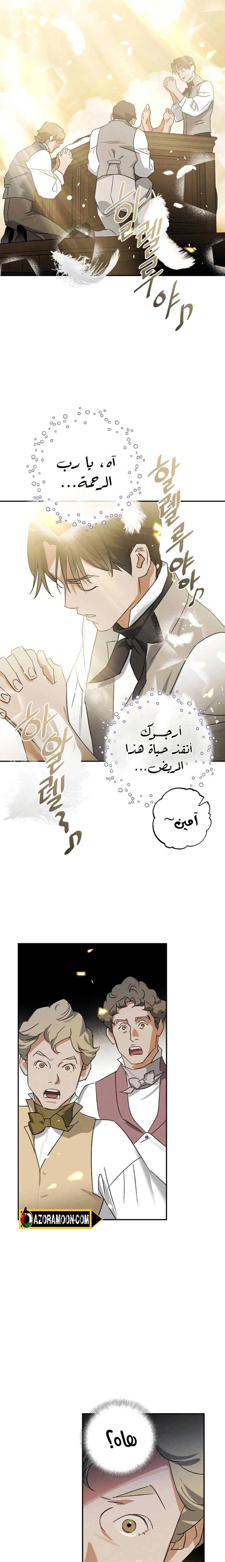 الصفحة 17