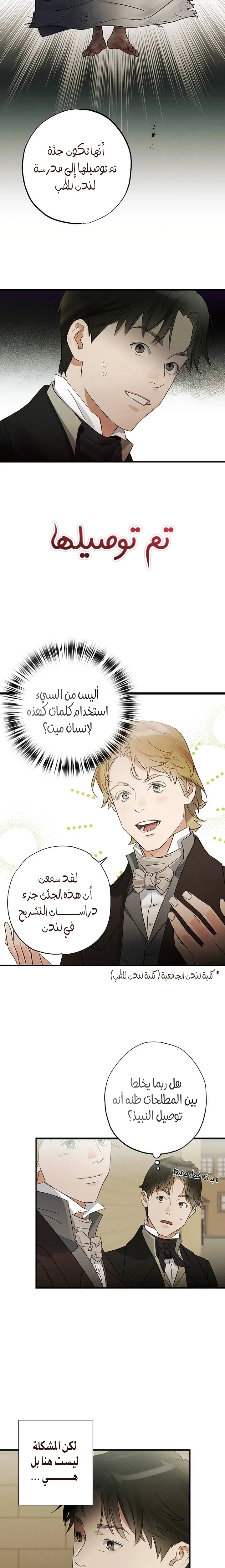 الصفحة 10