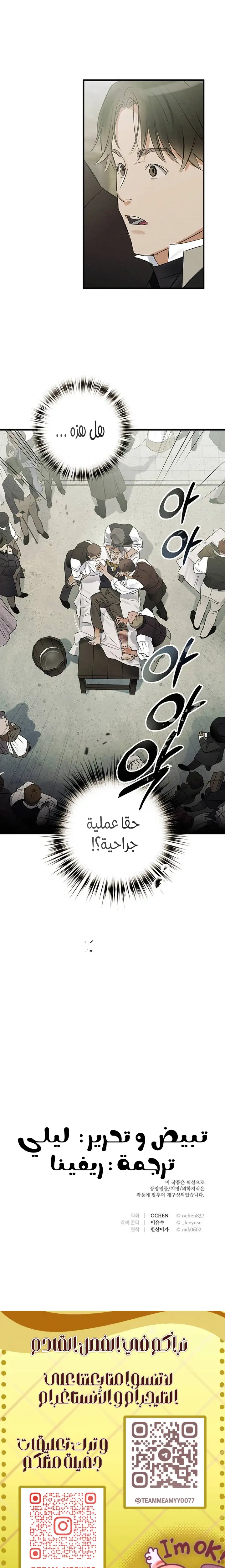 الصفحة 17