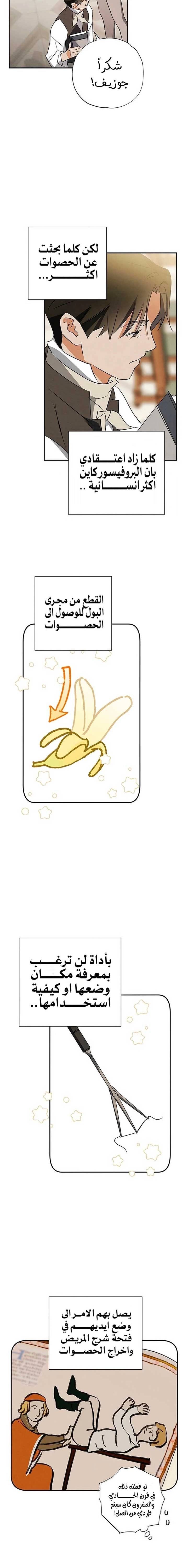 الصفحة 13