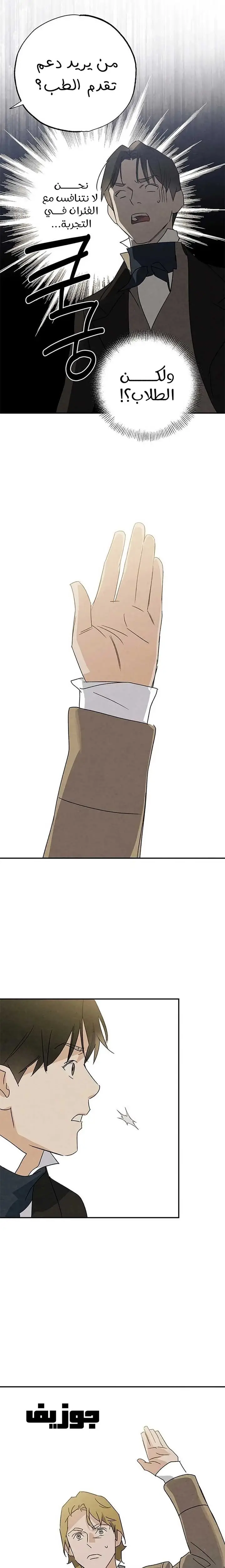 الصفحة 17
