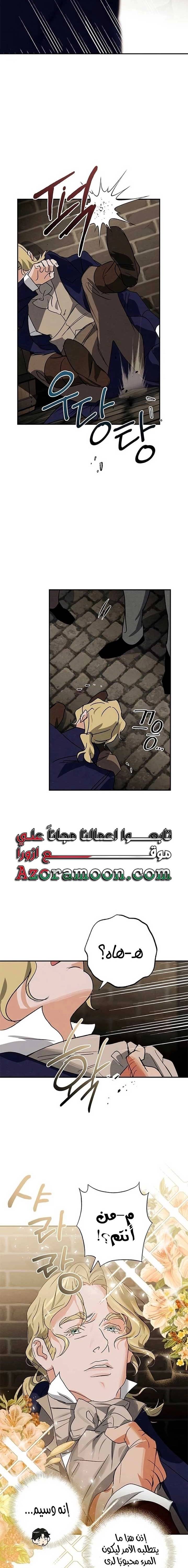 الصفحة 15