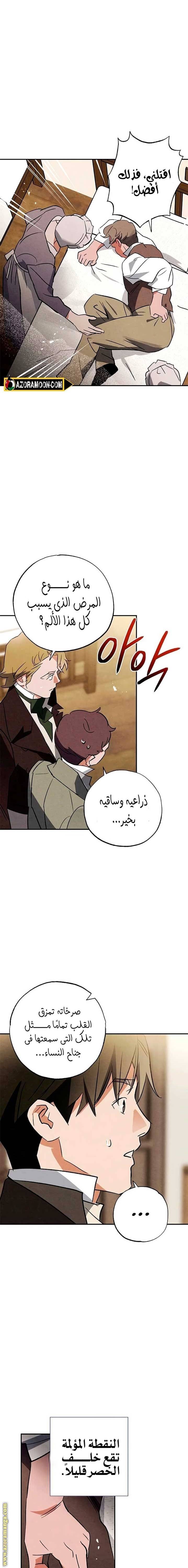 الصفحة 11