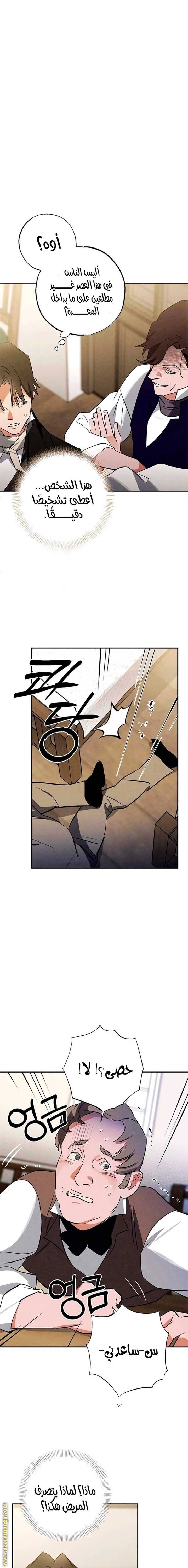 الصفحة 13